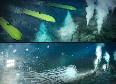 Copper, gold, cobalt, nickel: the rush to the deep sea