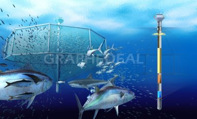 Sea farm - Science & Vie Junior
