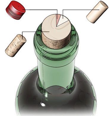 The economics of the cork - Science&Vie September No. 1068