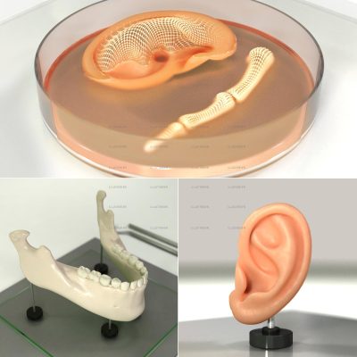 Citizen-Press - 3D printers for medical applications
