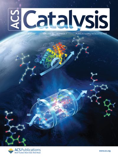 ACS Catalysis cover – Prof. Steven Ballet