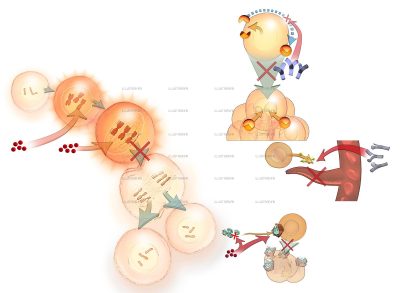 Science & Vie, Cancer and chemotherapy
