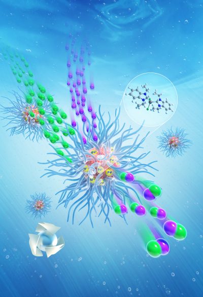 Micelle — polymer chemistry