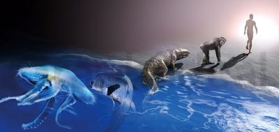 Does evolution have a direction? - Science&Vie 1059