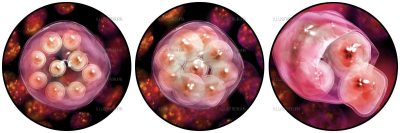 Quo Magazine - Science in the kitchen - Starch