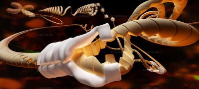 Enzymes to rebuild DNA – Science&Vie 2009