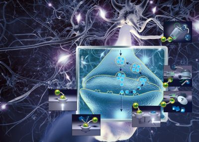 Science & Vie Special Issue 255 How psychotropic drugs deceive our brain