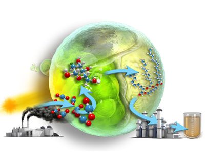Science & Vie Algae to produce energy.