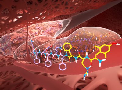 Cover for the Journal of Medicinal Chemistry