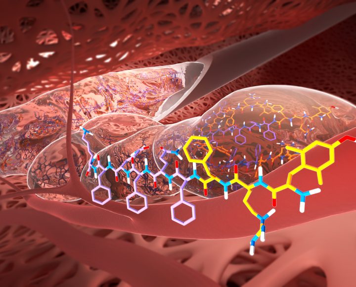 Scientific illustrations