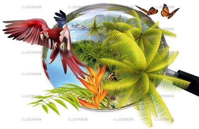 Cover – Science&Vie Junior