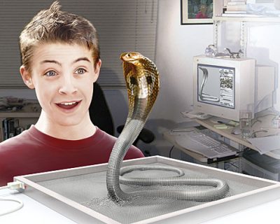 3D clay - Science&Vie Junior