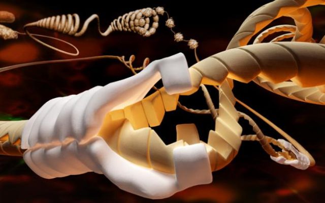 The 7 keys to science communication through images