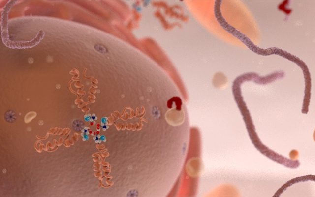 Biotechnology: how to explain a mechanism of action simply to influence decision-makers!