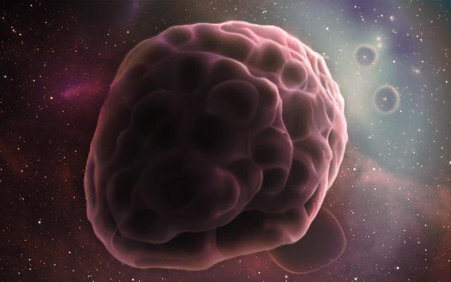 The Human Body: A Cellular Cosmos to Discover