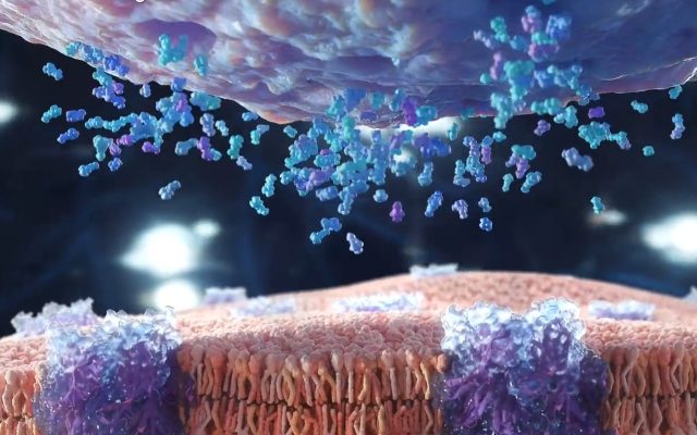 Medical and scientific videos: production secrets