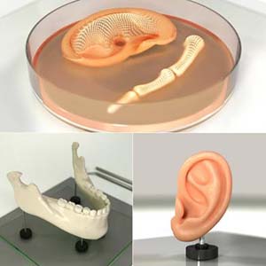 Citizen-Press- Imprimantes 3D applications médicales