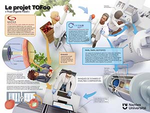 Projet TOFoo True organic Food.