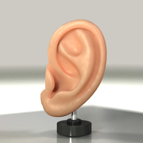 Impression oreille en 3D