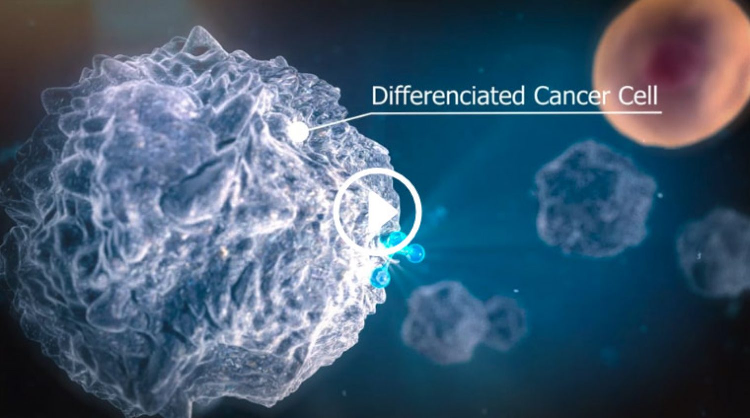 Film d'animation médical sur l'action d'une molécule