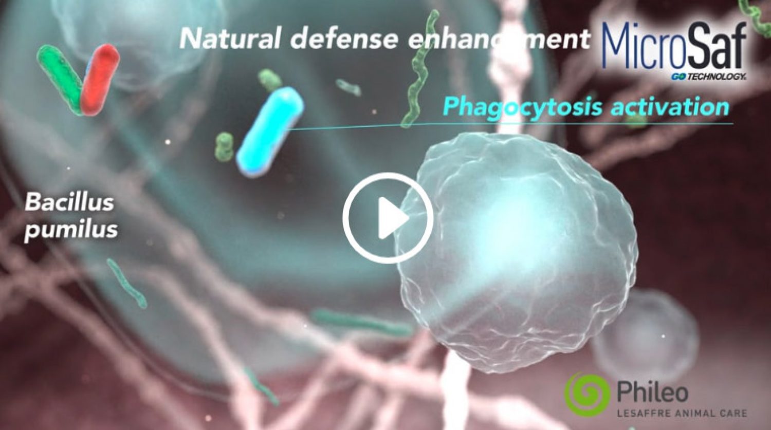 Film d'animation médical sur des compléments alimentaires