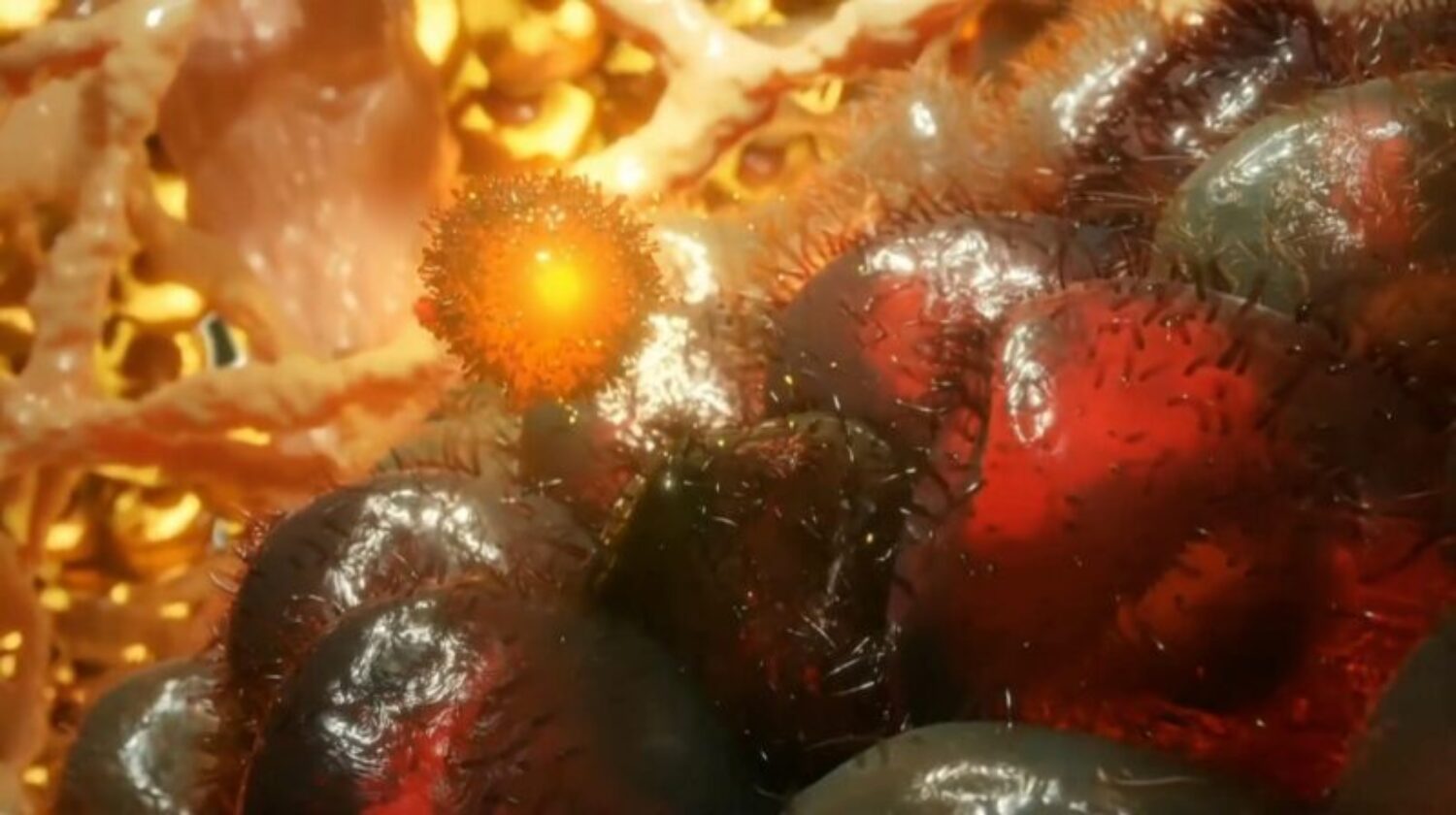 Film d'animation médical sur la vaccination