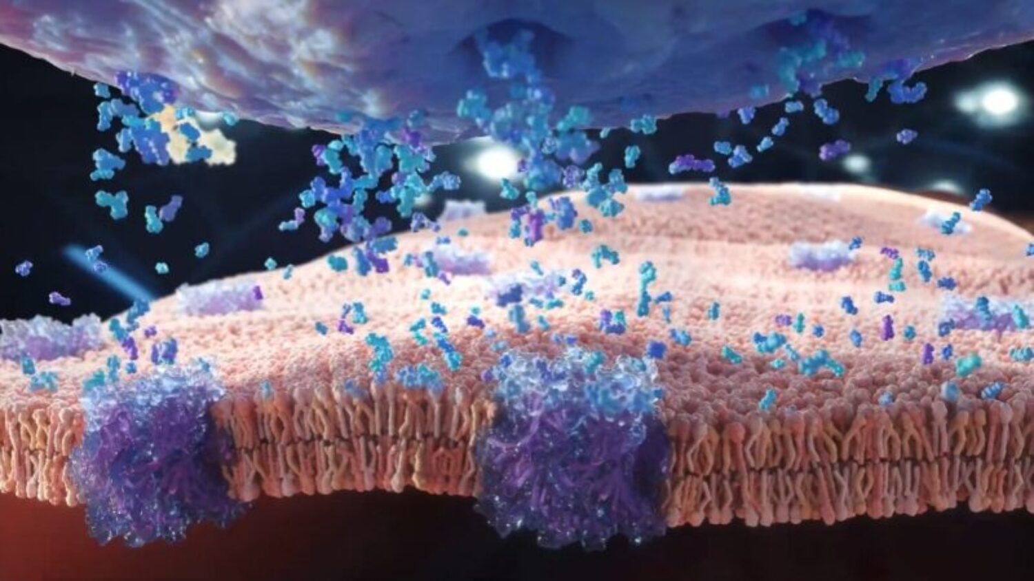 Film d'animation médical sur un nouveau médicament