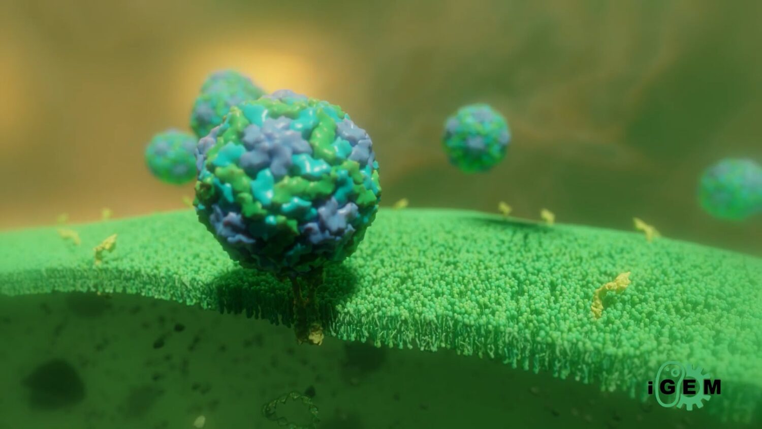 Animation3D phytosanitaire