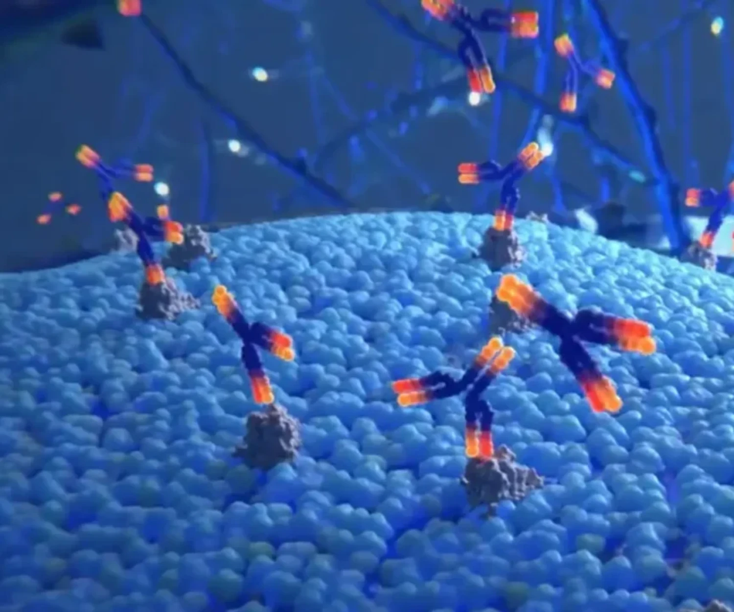 MOA Mode d'action des médicaments